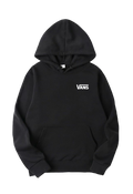 Vans basic