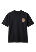 ASSC-rescue