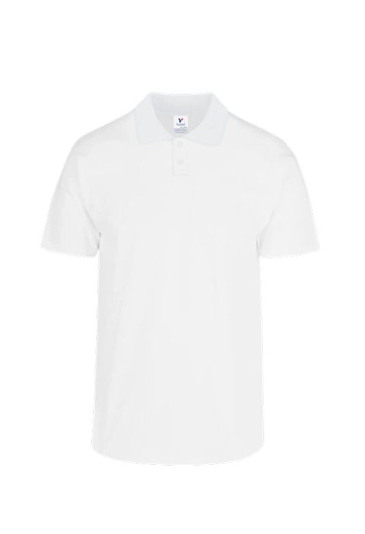 Camisa tipo Polo